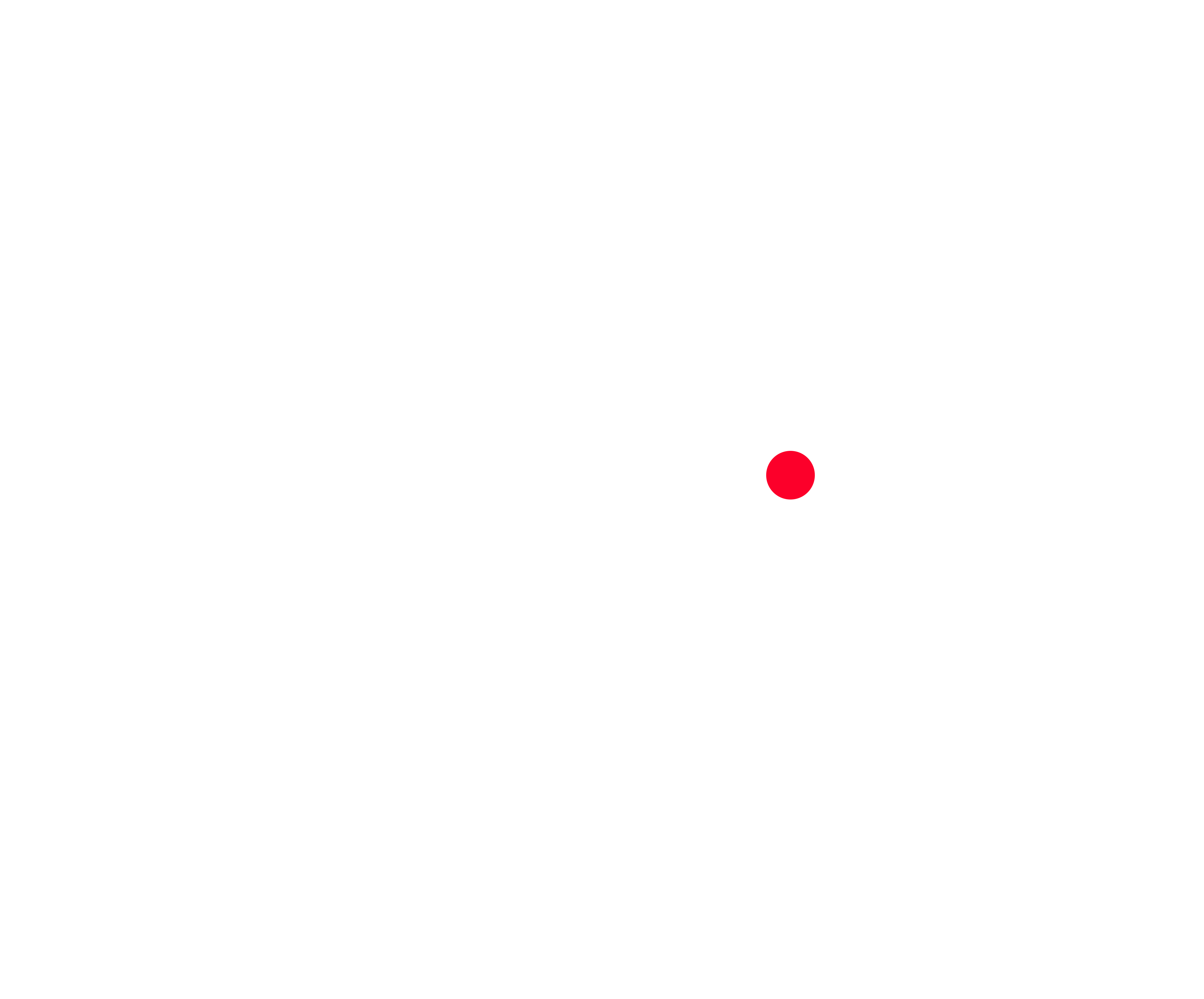 Le bon patriote