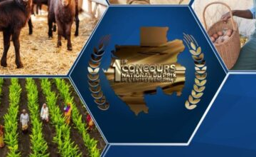 Gabon: Osez Mon Projet entre dans sa phase de financement et d’accompagnement effectif