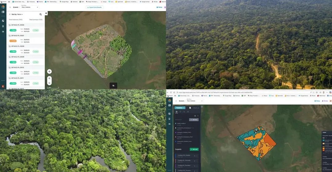 L’IA au service de la biodiversité : une étude de cas inédite au Gabon