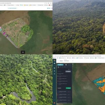 L’IA au service de la biodiversité : une étude de cas inédite au Gabon