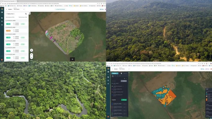L’IA au service de la biodiversité : une étude de cas inédite au Gabon