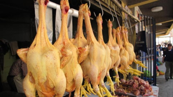 image Interdiction de l’importation de poulet de chair: Ver l’atteinte des objectifs de janvier 2027