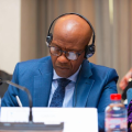 Le Gabon au coeur des consultations de la nouvelle stratégie CAFI à Brazzaville