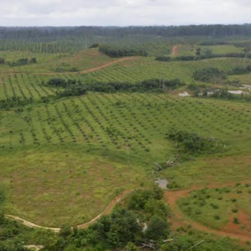 Le groupe SONOCO, conglomérat panafricain entend investir au Gabon