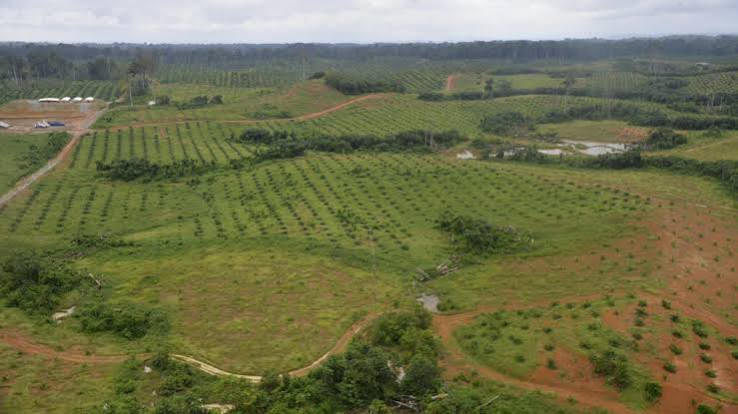 image Le groupe SONOCO, conglomérat panafricain entend investir au Gabon