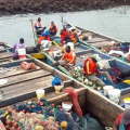 Pêche artisanale: le corridor de l&rsquo;Estuaire du Komo officiellement rouvert