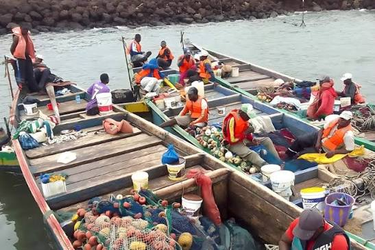 image Pêche artisanale: le corridor de l’Estuaire du Komo officiellement rouvert