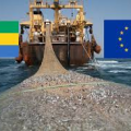 Secteur de la pêche: l’Accord de Partenariat entre le Gabon et l’UE arrivé à son terme
