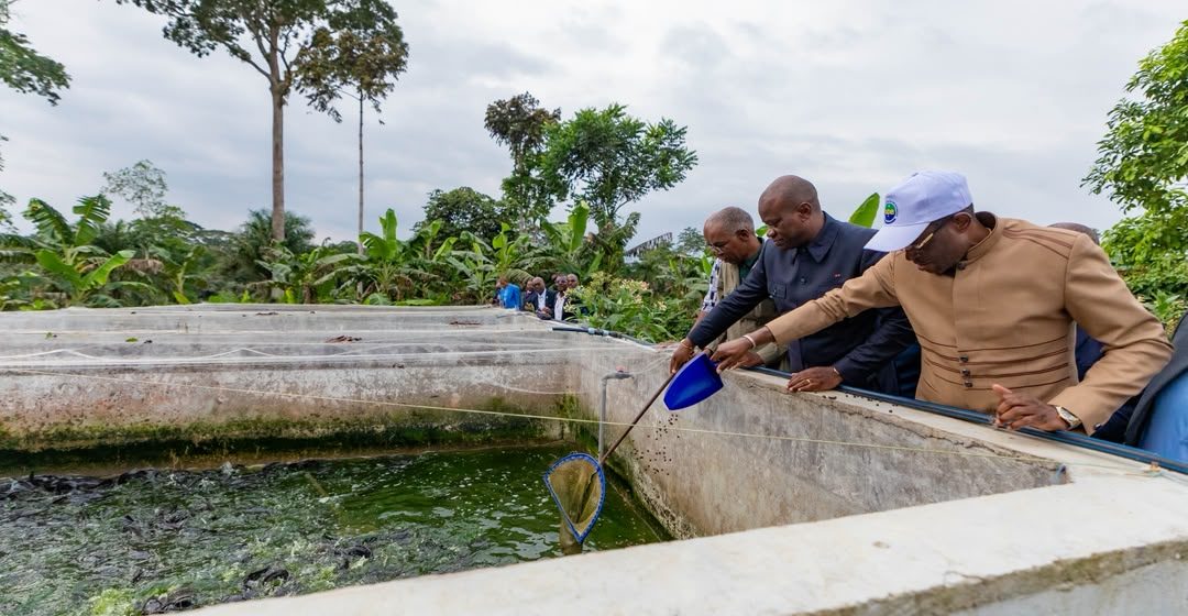 Renforcement de la sécurité alimentaire : Oligui Nguema évalue les perspectives de développement du site piscicole à Minvoul