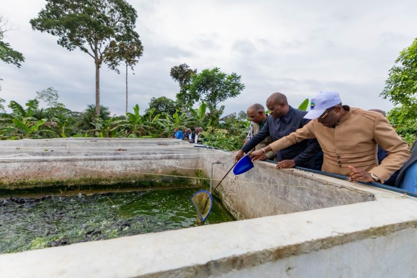 IMG-20260710-WA0001 Renforcement de la sécurité alimentaire : Oligui Nguema évalue les perspectives de développement du site piscicole à Minvoul