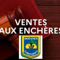 Gabon : les douanes organisent une vente aux enchères publiques de marchandises